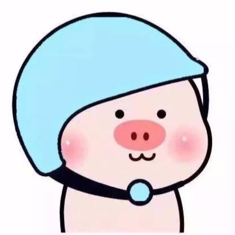 一只小猪